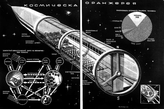 Космическая оранжерея