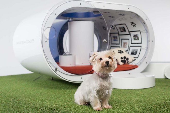 Samsung Dream Doghouse