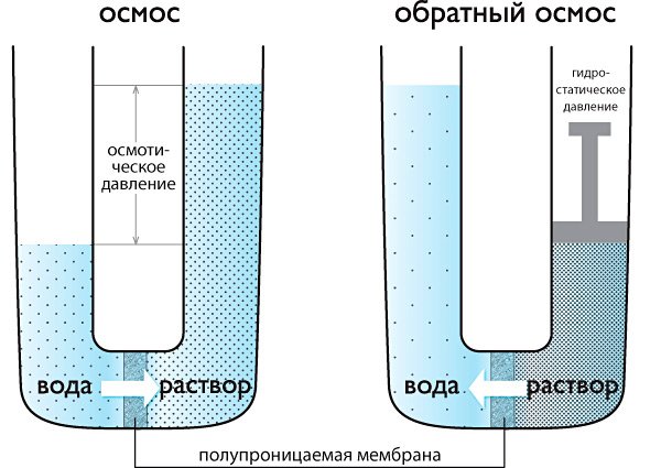 Осмотический процесс