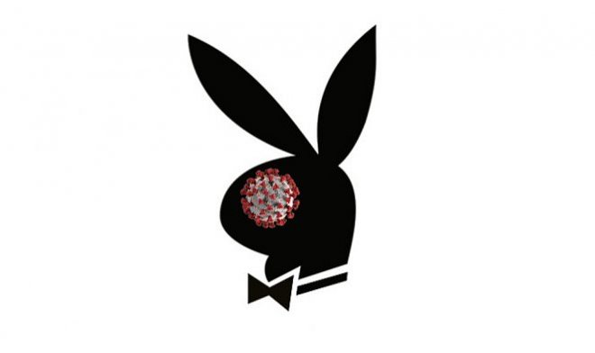 Кролик Playboy