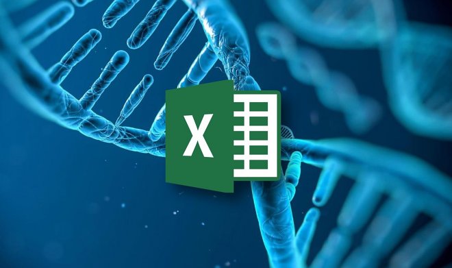 Microsoft Excel