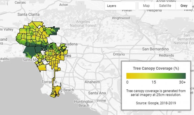 Проект Tree Canopy Lab