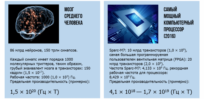 Сравнение мозга и компьютера