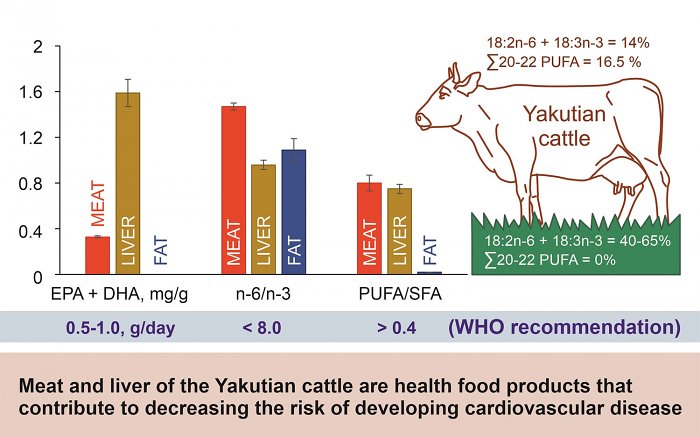 Самым полезным оказалось мясо якутской коровы