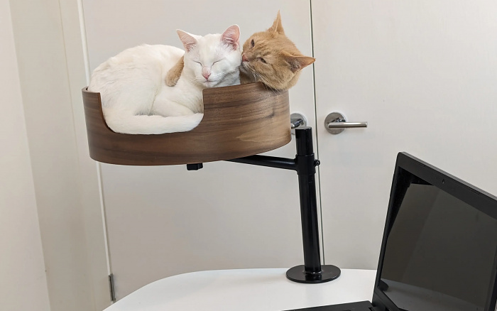 Desk Nest Cat Bed 