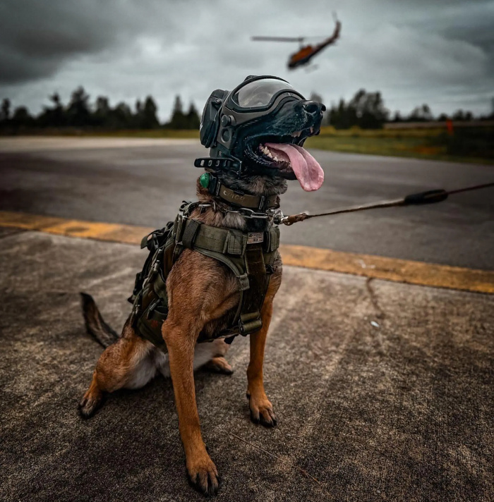 DarkFighter K9