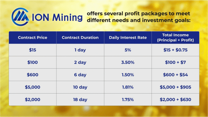 ION Mining